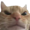 Emoji AngryCat