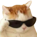 Emoji cool