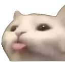 Emoji bleh