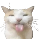 Emoji bleh