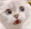 Emoji shocked