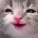 Emoji happy