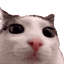 Emoji cat_blink