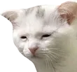 Emoji tired