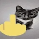 Emoji chat