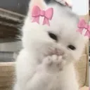 Emoji mimi
