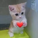 Emoji coeur