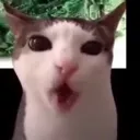 Emoji mangedelurianium
