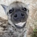 Emoji sourire