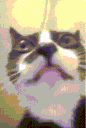 Emoji emoji_58