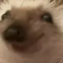 Emoji emoji_61