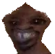 Emoji intrus