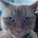 Emoji emoji_87