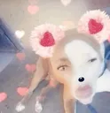 Emoji snap
