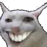 Emoji smilecat