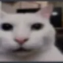 Emoji huhstare