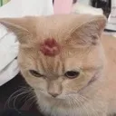Emoji emoji_95