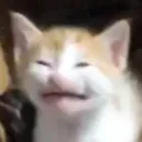 Emoji tama_tristoune