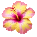Emoji hibiscus
