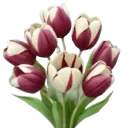 Emoji tulips