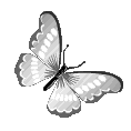 Emoji grey_butterfly