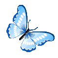 Emoji blue_butterfly