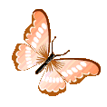 Emoji orange_butterfly