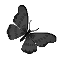 Emoji black_butterfly
