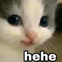 Emoji cathehe