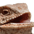 Emoji emoji_47