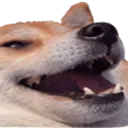 Emoji jokedog