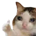Emoji LZ_ok