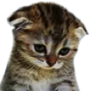 Emoji LZ_triste