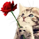 Emoji giverose