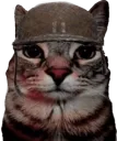 Emoji soldat