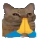 Emoji pray