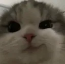 Emoji smirk