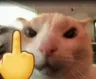Emoji CatMiddleFinger