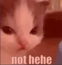 Emoji nothehe