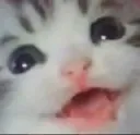 Emoji hihi