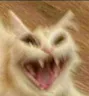 Emoji cursed