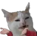 Emoji whatsthis