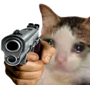 Emoji sadcatgun