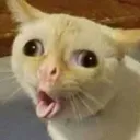 Emoji LZ_disgust