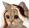 Emoji 1301286006456320120