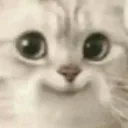 Emoji tama_catsmile