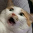 Emoji oOo