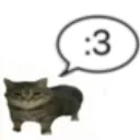 Emoji GatoCute