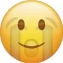 Emoji wtf