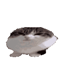 Emoji wawacat9
